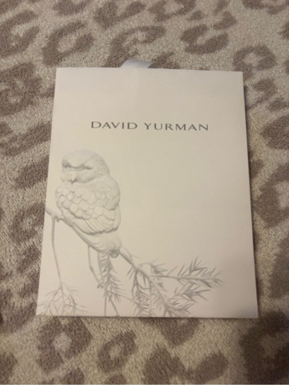 David Yurman shopping bag & dust bag